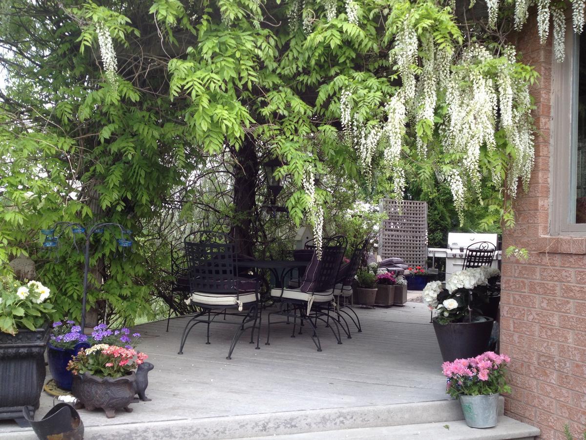 Lulu'S Bed & Breakfast Niagara-on-the-Lake Εξωτερικό φωτογραφία